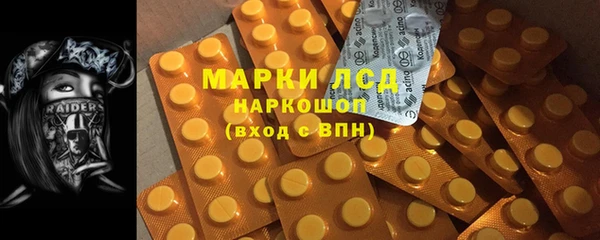 jwh Тайга