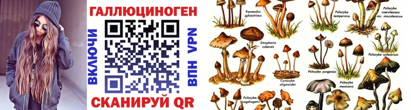 Галлюциногенные грибы Psilocybine cubensis  Купить закладки  Краснослободск 